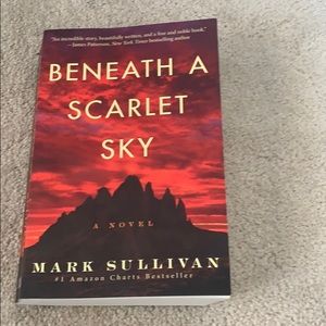 Bestselling Book- Beneath A Scarlet Sky